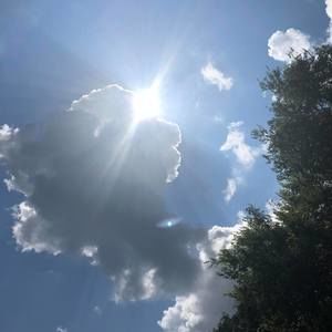 Meet your Posher, Beverly